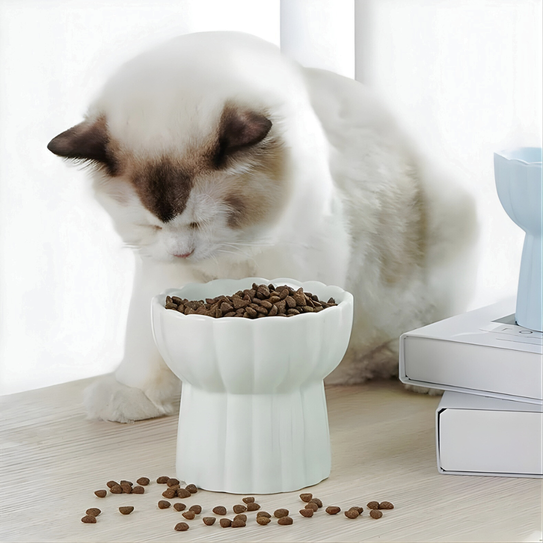 Ciotola Rialzata in Ceramica Effetto Petalo