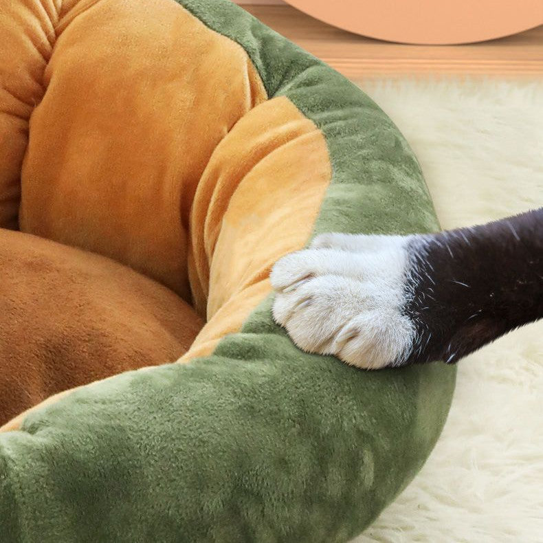 Cuccia Morbidezza Premium Avocado & Crown Pear