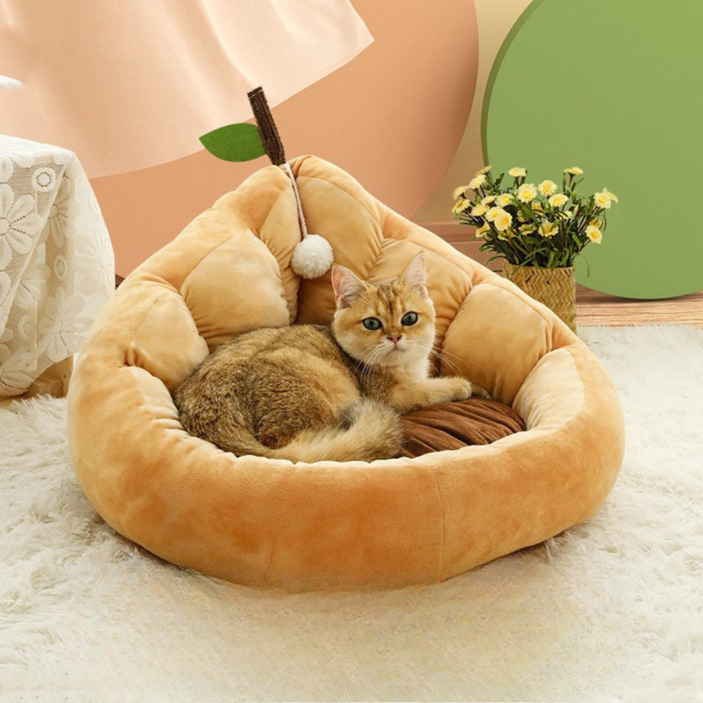 Cuccia Morbidezza Premium Avocado & Crown Pear