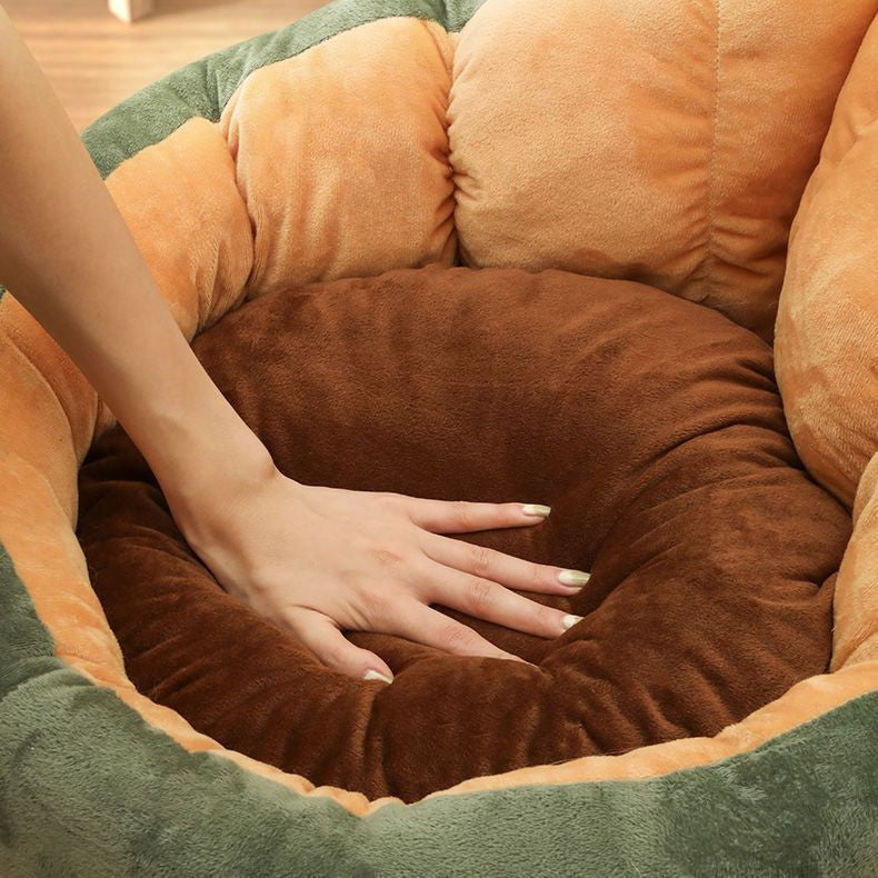 Cuccia Morbidezza Premium Avocado & Crown Pear